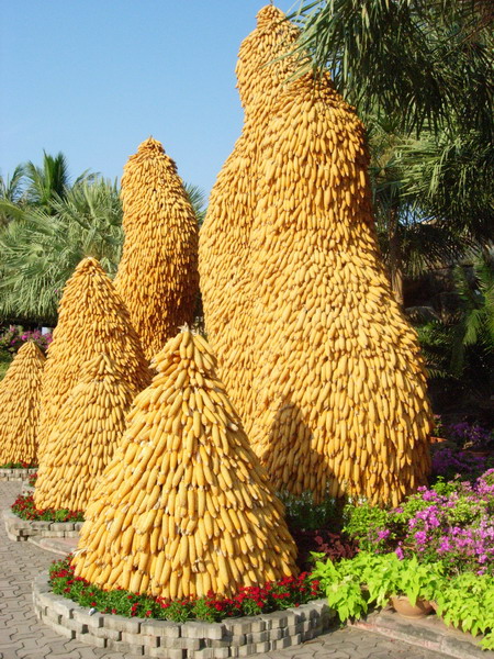 DSCN5369.jpg