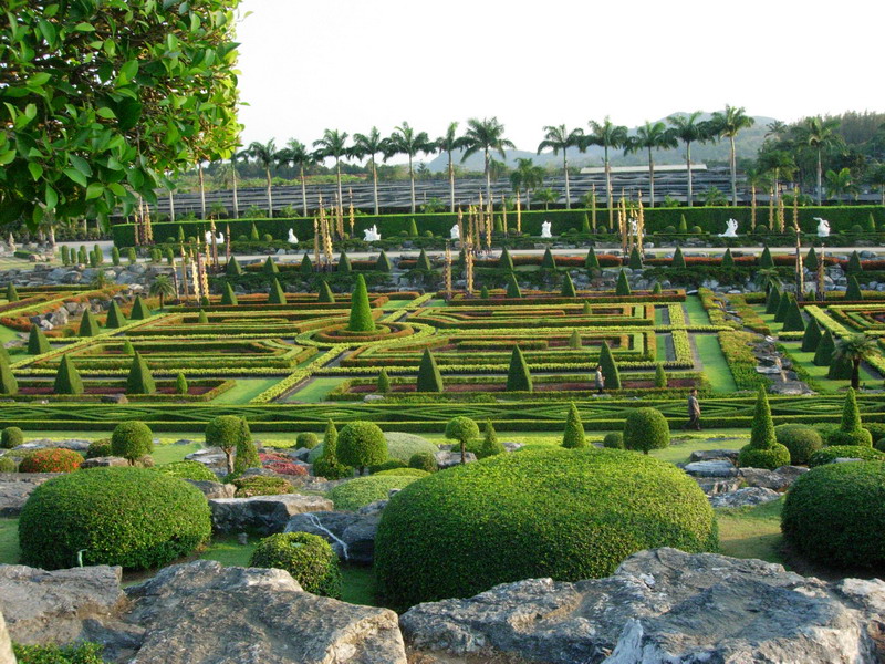 DSCN5402.jpg