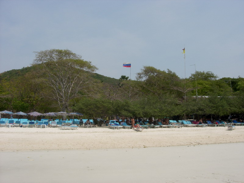 DSCN5490.jpg