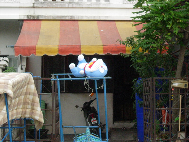 DSCN5505.jpg