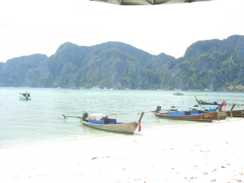 DSCN5643.jpg