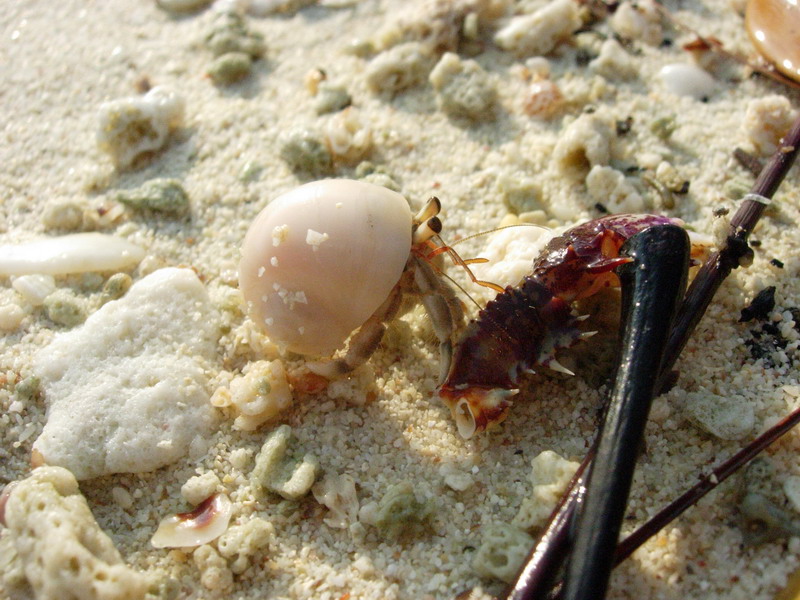 DSCN5678.jpg
