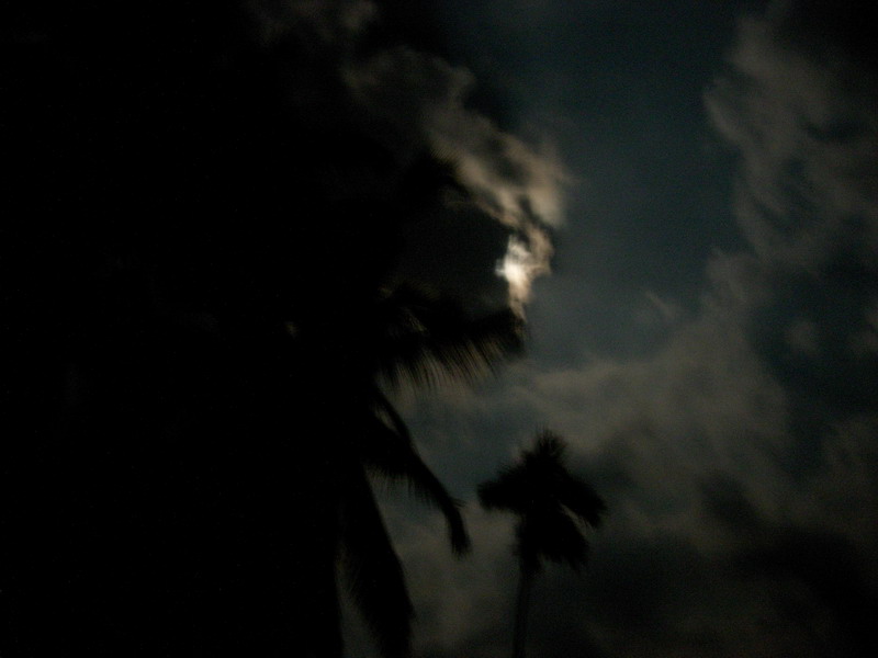 DSCN6093.jpg