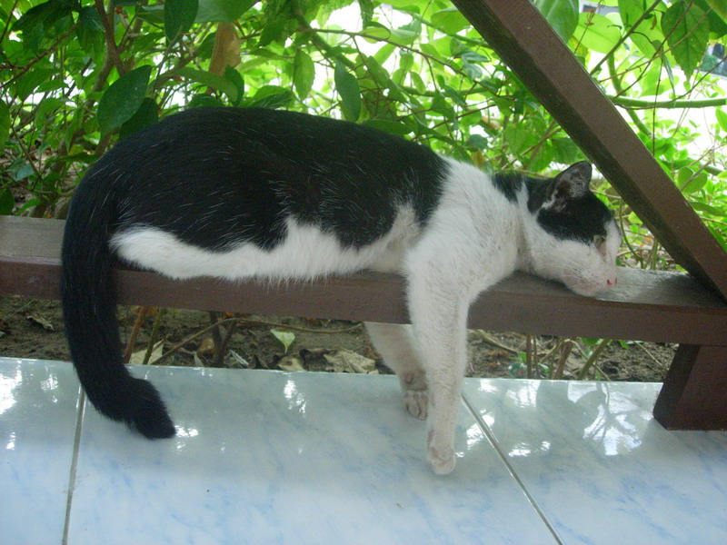 DSCN6100.jpg