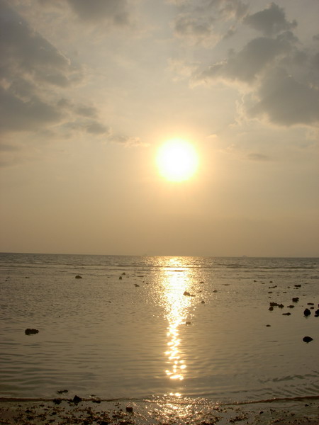 DSCN6126.jpg