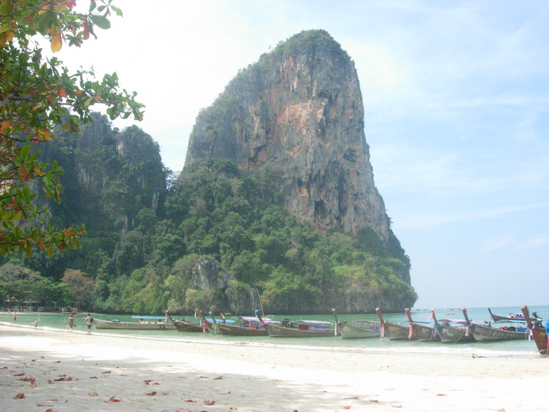 DSCN6209.jpg