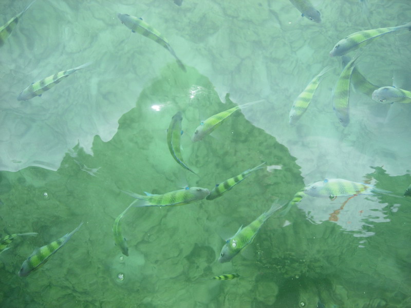 DSCN6291.jpg