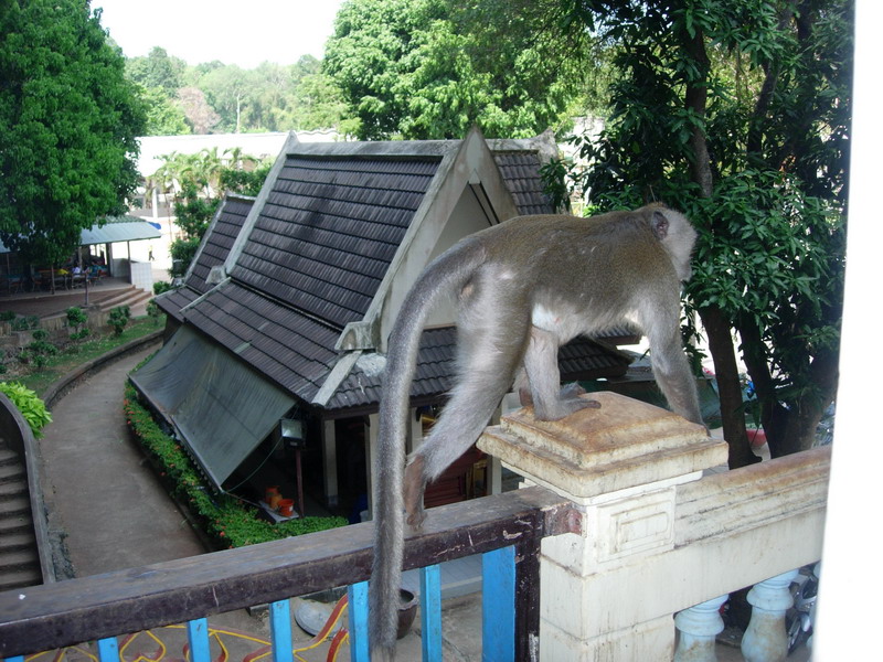 DSCN6404.jpg