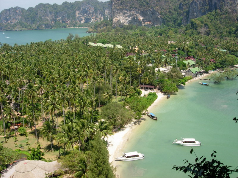 DSCN6530.jpg
