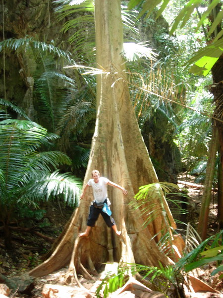 DSCN6550.jpg