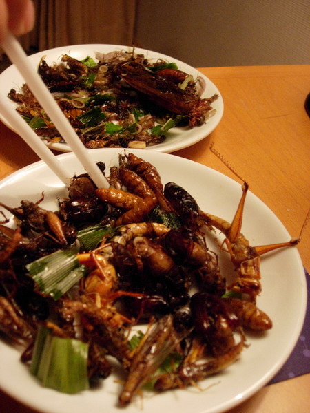 DSCN7046.jpg