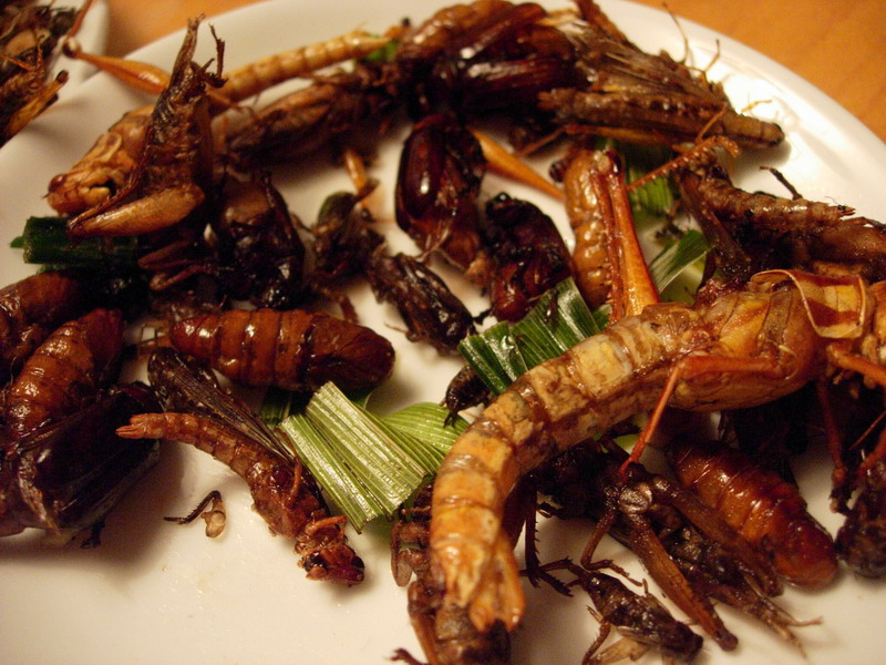 DSCN7066.jpg