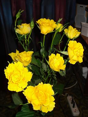 Изображение 013.jpg