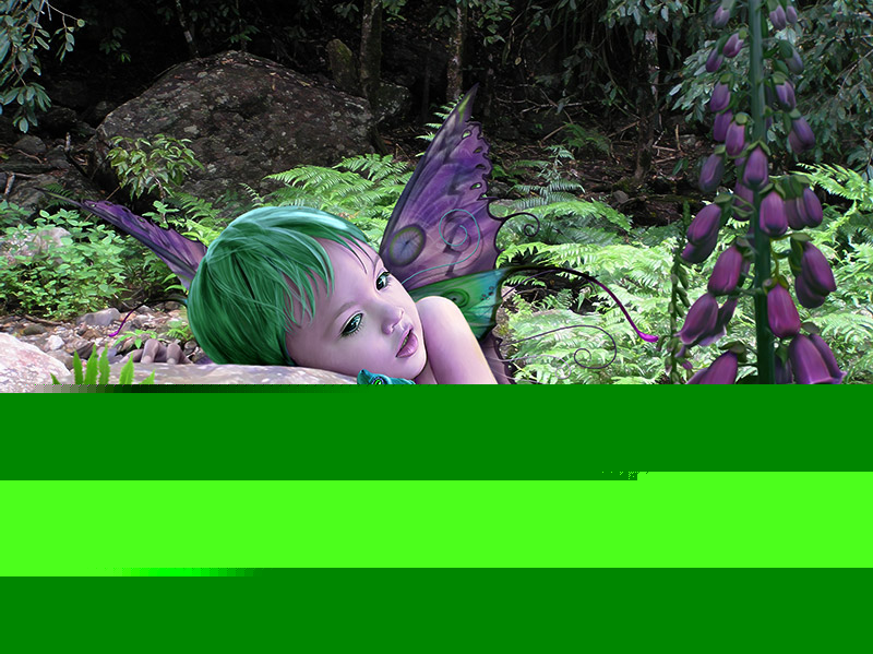 lizard-gully.jpg