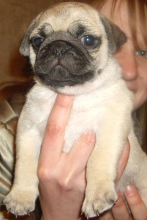 Лерин Мотя.JPG