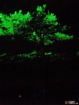 лазерное шоу.jpg