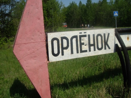 орлёнок.JPG