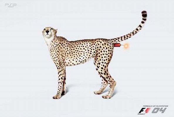 Resize of 2.jpg