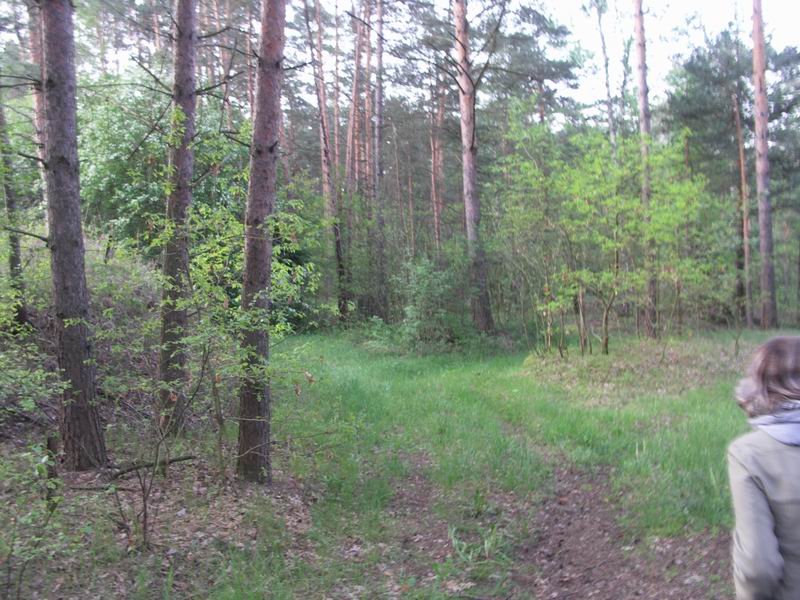 Изменение размера PICT0069.JPG