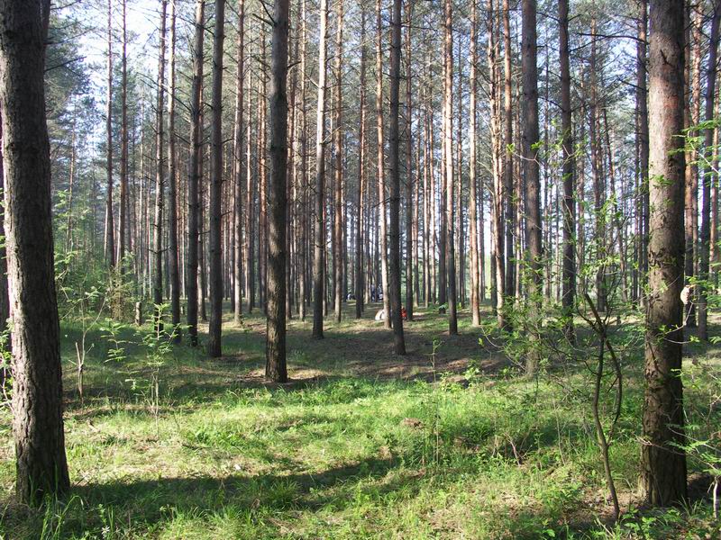 Изменение размера PICT0133.JPG