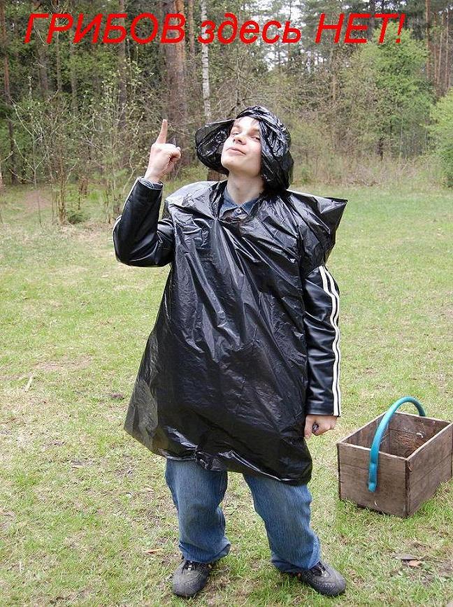 Изображение 310.jpg