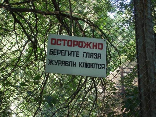117_cannotbe_87113.jpg