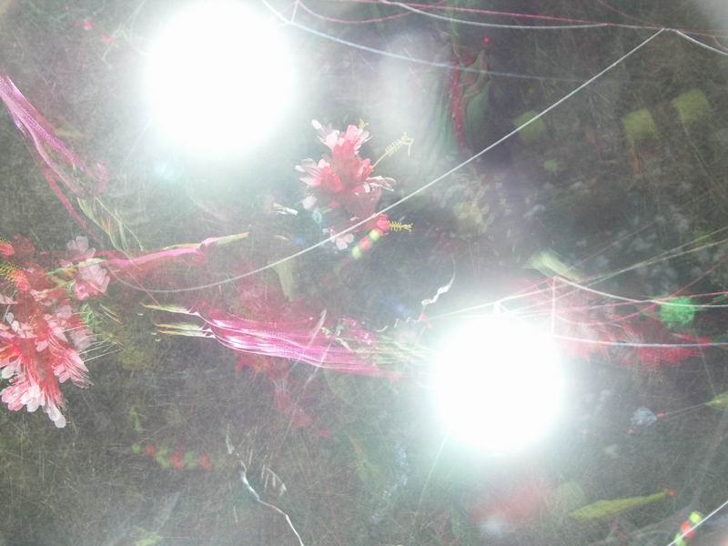 Изменение размера PICT0069.JPG