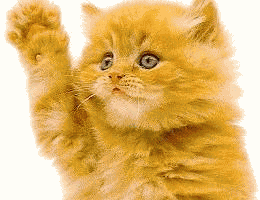 132705-wave.gif