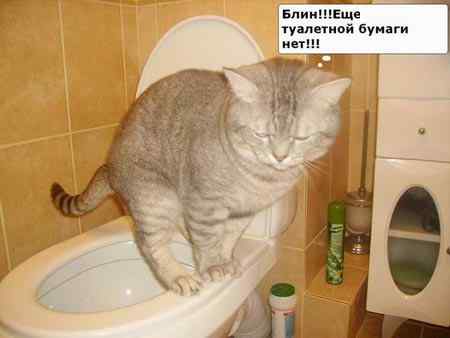 stopme_ru_58_0_20070211_11971_9.jpg