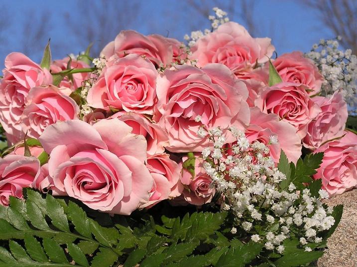 red_roses-1024.jpg