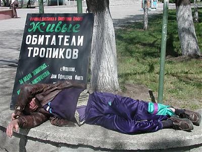 тропики.jpg