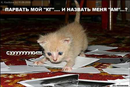 stopme_ru_58_0_20061128_11025_5.jpg