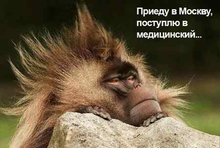 stopme_ru_58_0_20070307_12154_5.jpg