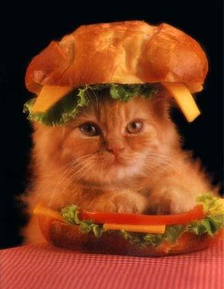 sandwich.jpg