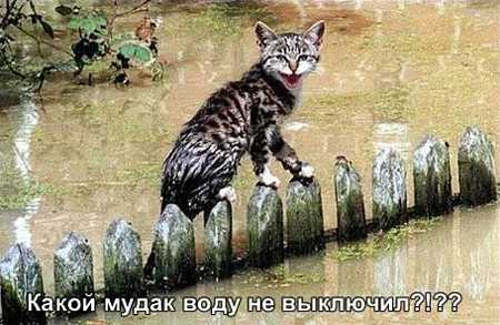 stopme_ru_58_0_20061203_11073_6.jpg