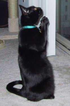 stopme_ru_58_0_20061203_11069_2.jpg