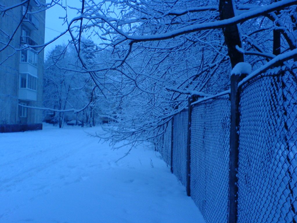 DSC00078.JPG