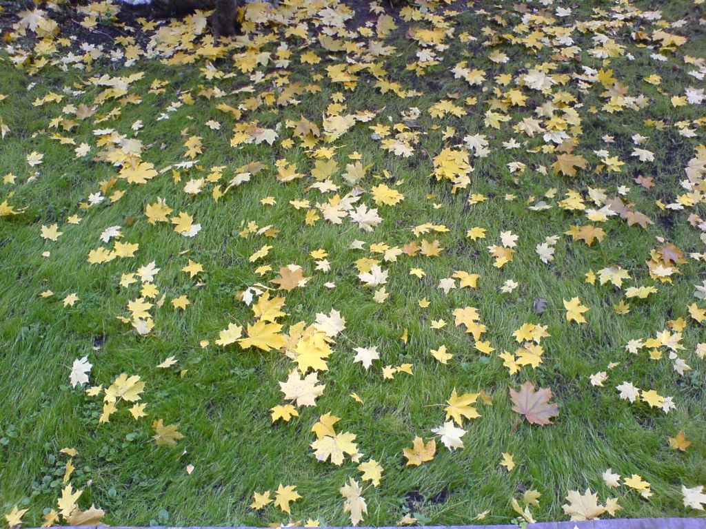 DSC00020.JPG