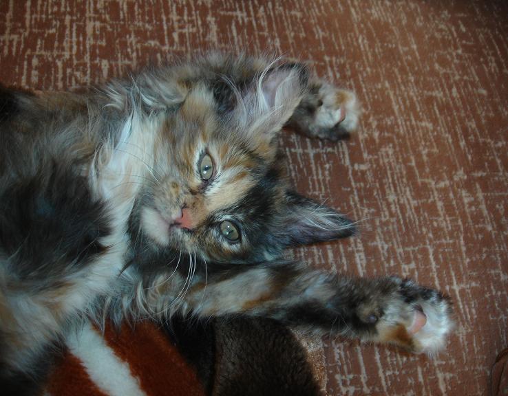 DSC01537.JPG