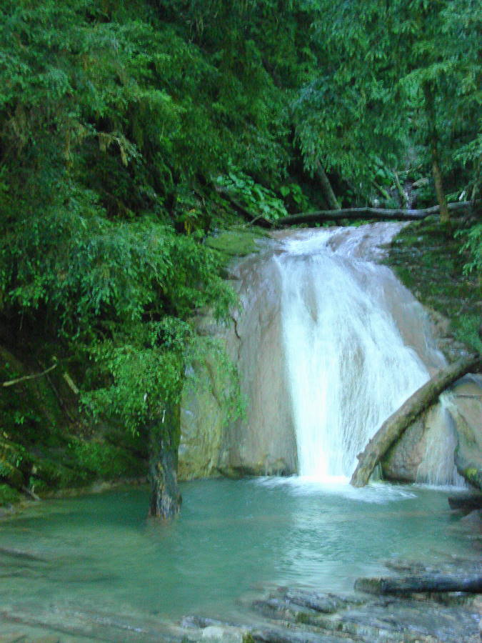 DSC00764(1).jpg
