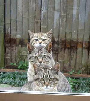 twoontop.jpg[1].jpg