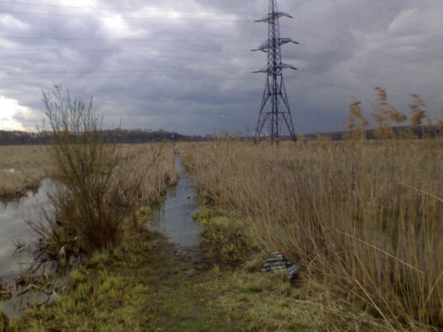 DSC00735.JPG