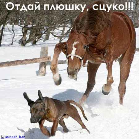 stopme_ru_58_0_20061015_10221_9.jpg