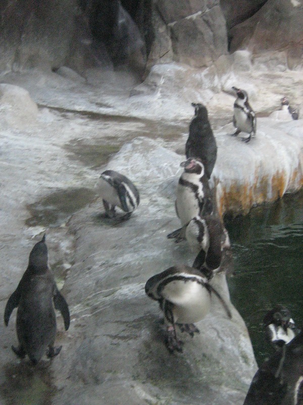 IMG_1304.jpg