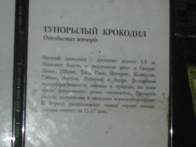 IMG_1362.jpg