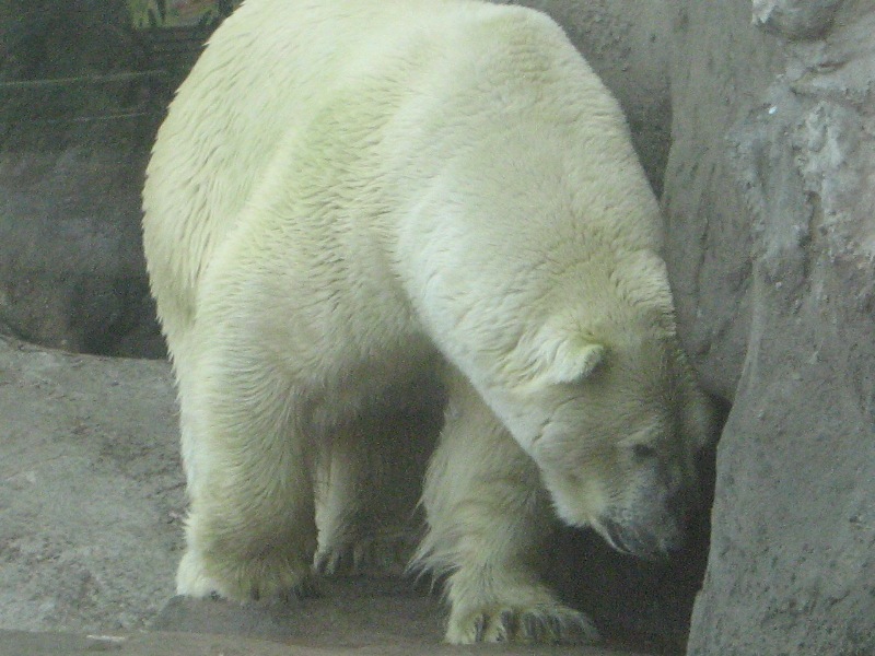 IMG_1343.jpg
