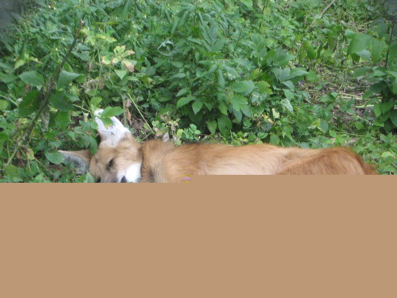 IMG_1254.jpg