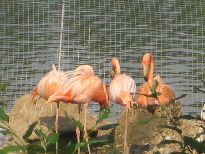 IMG_1223.jpg