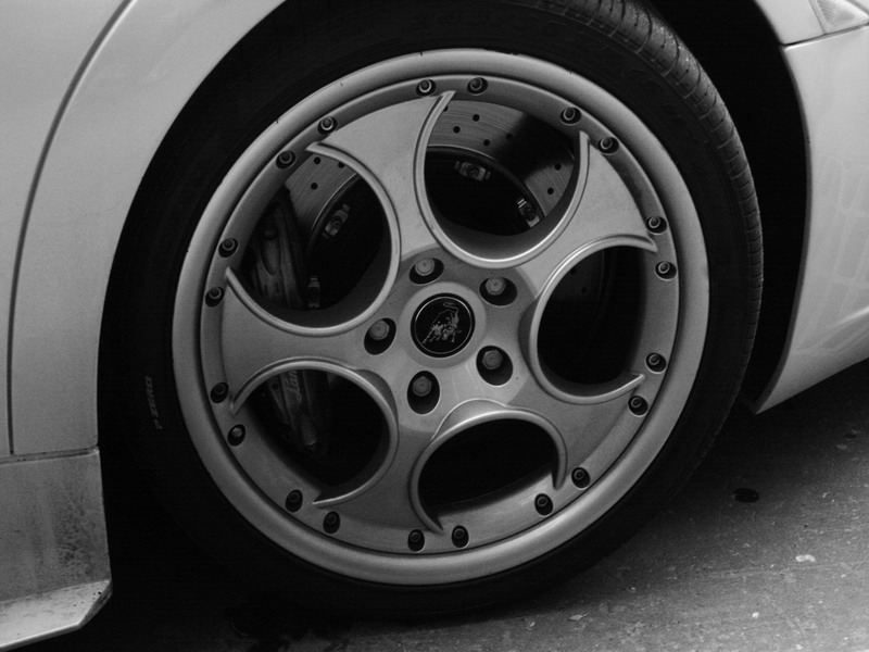 _MG_2931.jpg