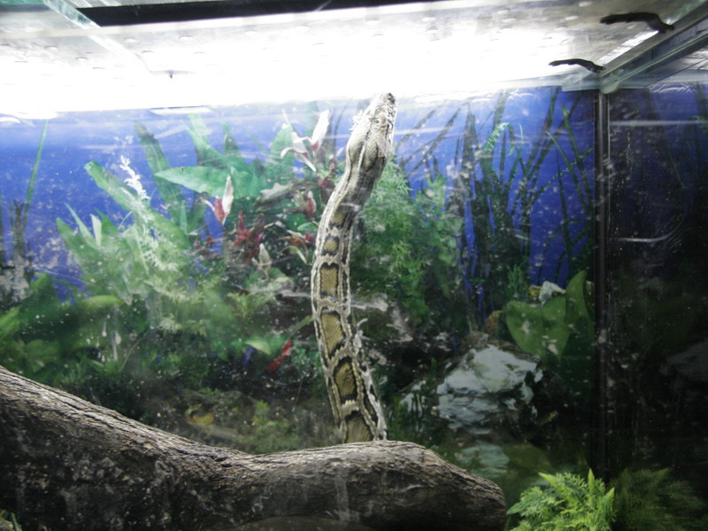 _MG_3553.jpg